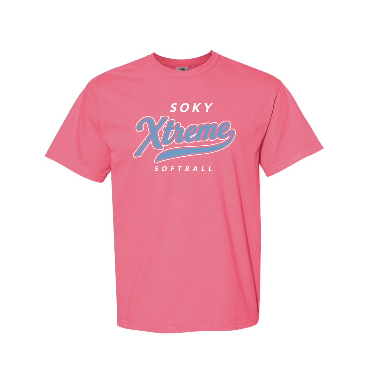 Comfort Colors® Heavyweight Ring Spun Tee