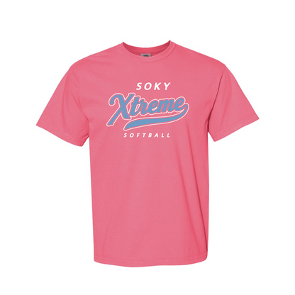 Comfort Colors® Heavyweight Ring Spun Tee
