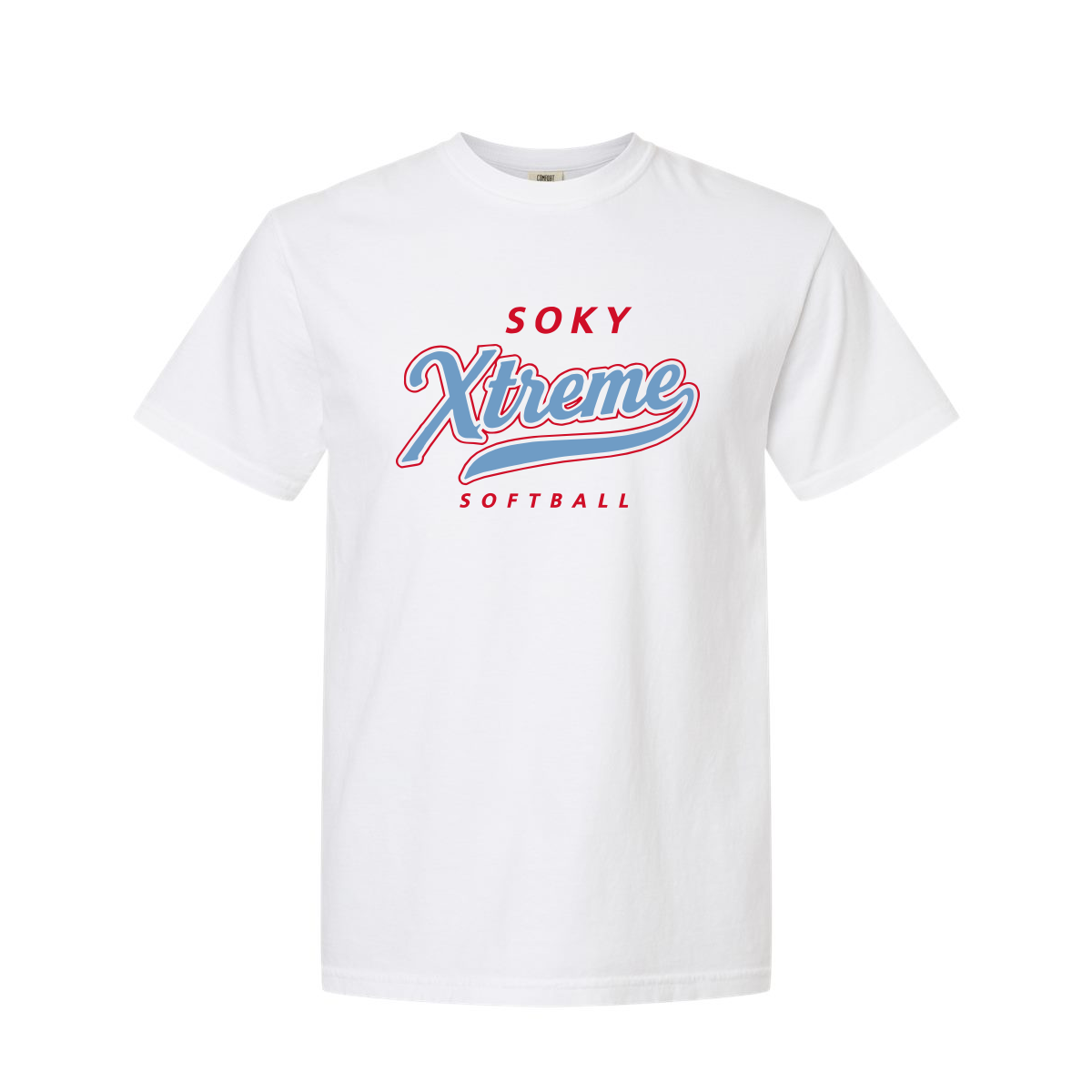 Comfort Colors® Heavyweight Ring Spun Tee