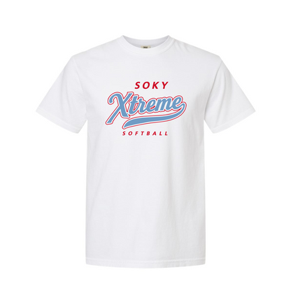 Comfort Colors® Heavyweight Ring Spun Tee