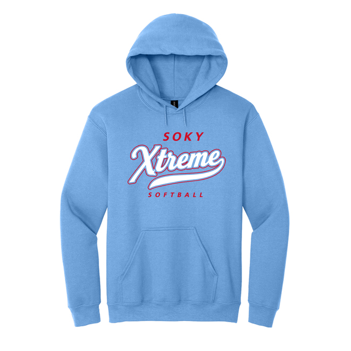 Heavy Blend Hooded Sweatshirt