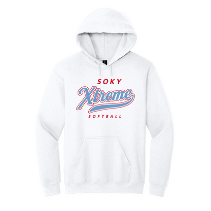 Heavy Blend Hooded Sweatshirt