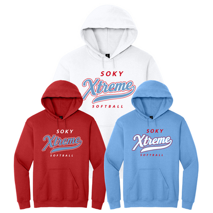 Heavy Blend Hooded Sweatshirt